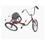 Vintage Desoto Classic Trailmate Adult Tricycle