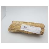 Section Of Petrified Wood