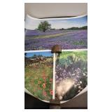 Native Texas Wildflowers Posters