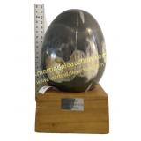 Miocene Epoch Petrified Wood Polished Egg on