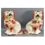 Staffordshire Spaniel Dogs