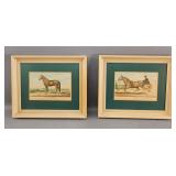 Framed Horse Lithographs