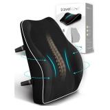 NEW-$50 Memory Foam Back Support