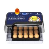 $140 (64Eggs) Egg Incubator