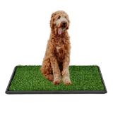 NEW-$66(20/30)Dog Litter Box, 3-Tie