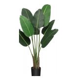 NEW-$113 Paradise Palm Tree Potted Plant