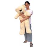 NEW-$50 Plush Teddy Bear