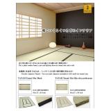 New $64 Japanese Traditional Interior Igusa