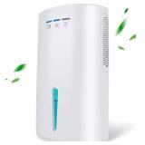 $100 Dehumidifier for Home