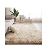 $70 Area Rug 5x7 for Bedrooms