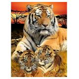 Diamond Painting Kits30x40cm