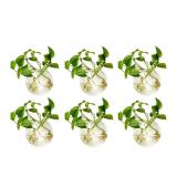 $37 6 Pcs Wall Hanging Glass Planters 4 Inches