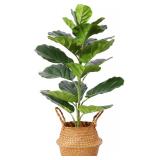 $60 Ferrgoal Artificial Plants 30 Inch