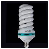 $30 Light Bulb 95w
