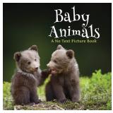 NEW $40 Baby Animals, A No Text Picture Book