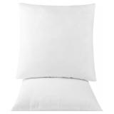 NEW 2Pcs (16x16") Pillow Inserts