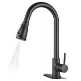New $70 Kitchen Faucet with Sprayer