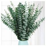 NEW 17' Natural Fresh Eucalyptus Bundles