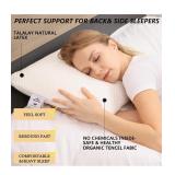 $125 Talalay 100% Natural Premium Latex Pillow