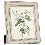 (8x10') Vintage Picture Frame