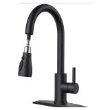 $70 Kitchen Faucet