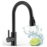 $70 Kitchen Sink Faucet with Pull Down Sprayer