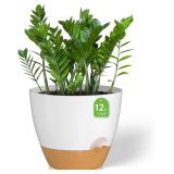 NEW $80 Plant Pots with Watering Lip 2Pcs 12in