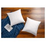 $129 Feather Throw Pillow Inserts (Set of 2)