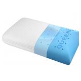 $59 Queen Memory Foam Pillow