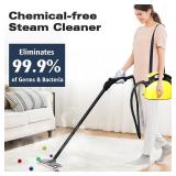 $150 Steam Cleaner