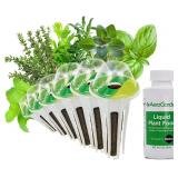 NEW Italian Herb Seed Pod Kit (6-pod)