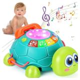 NEW $50 Musical Turtle Baby Development Toy