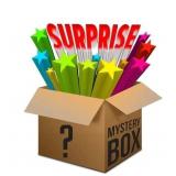 $250 Mystery Box