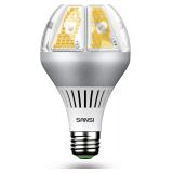 NEW $36 A21 LED Light Bulb