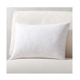 Throw Pillows Insert (Pack of 1, White) - 18 x 26