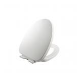 $37 Fast Release and Quiet-Close Toilet Seat