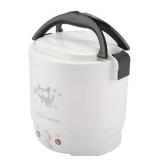 $40 Rice Cooker, 12V 100W 1L Electric Portable