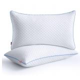 Maxzzz Bamboo Pillows Queen Size 2 Pack