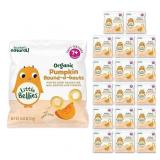 Organic Pumpkin Baby Snacks, 18ct, 0.42oz
