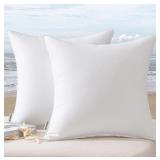 NEW $51 Pack of 2 Pillow Insert 20x20"