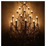 12 PK 25W 120V Flame Light Bulbs