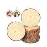 NEW 20 Pcs Natural Wood Slices Log