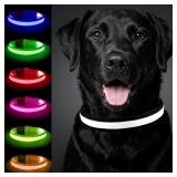 NEW (Large) Nepfaivy Light up Dog Collar