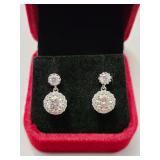 $1,500 App 2.60ct Drop Style Earrings