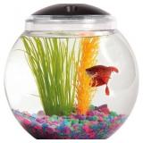 $32 Aquarius Aq100004c Led Globe Bowl 1-Gallon