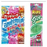 3 Bags of Sour gummy Candies Variety