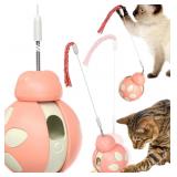 Ladybug Cat Toy Treat Dispenser