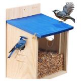 Wooden Bluebird Feeder House , Wall.or Tree Mount