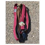6ft Coastal K9 Explorer Leash Rose
