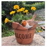 Indoor Outdoor Planter